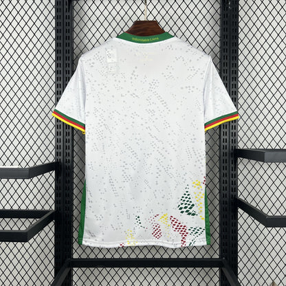 Maillot Cameroun 2025/2026 Extérieur